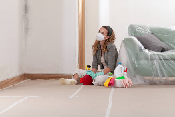 Reliable Mold Cleanup contractor in Point Harbor, NC by WQB Mold Removal